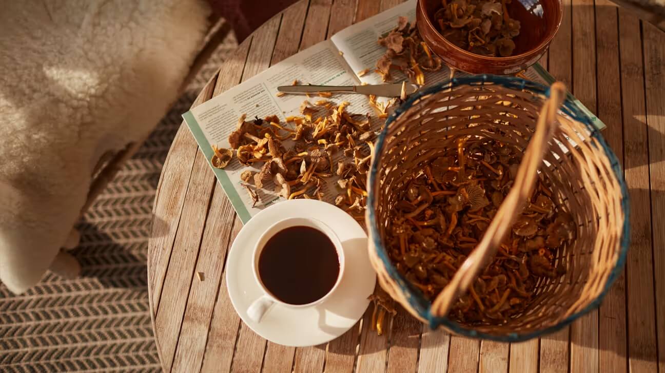 Lion's Mane Mushroom Coffee
