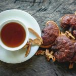Functional Mushrooms