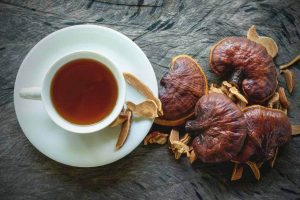Functional Mushrooms